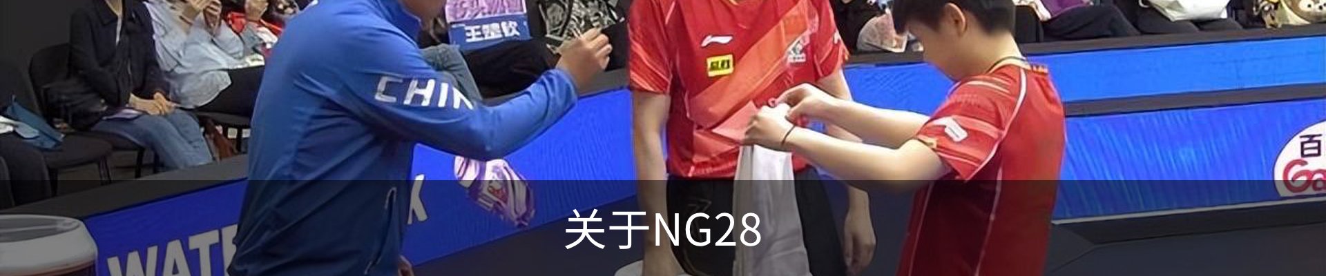 关于NG28